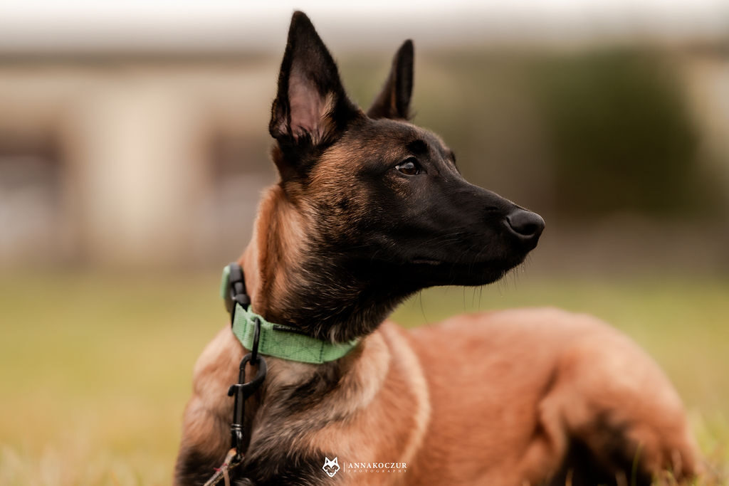 Zoria