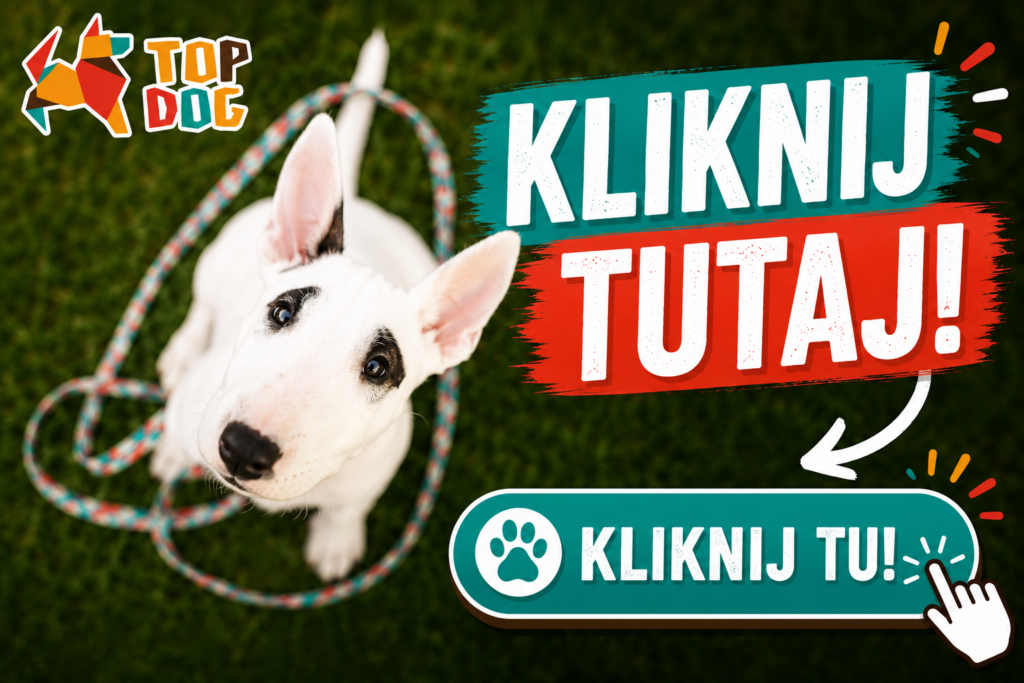 Zapisz sie do psiego przedszkola opole szczeniak do psiego przedszkola